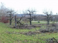 /album/fotogalerie/fotos-036-fileminimizer-jpg/